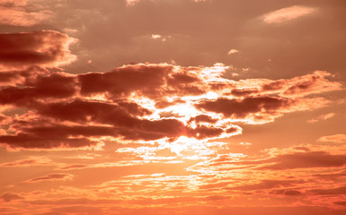 Colorful sunset. Toned image. Beauty of nature