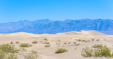 Mesquite sand dunes in desert of Death Valley, California, USA.