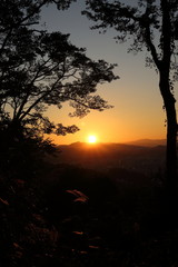 Fototapeta premium 夕暮れとススキ（高知市筆山公園）