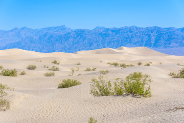 Mesquite sand dunes in desert of Death Valley, California, USA.
