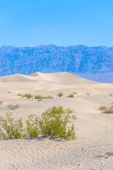 Mesquite sand dunes in desert of Death Valley, California, USA.