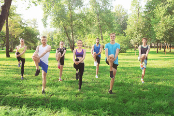 Fototapeta premium Group of young people training in park