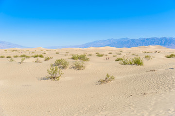 Mesquite sand dunes in desert of Death Valley, California, USA.