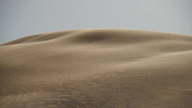 Vento sulle dune del Sahara
