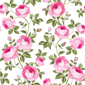 Luxurious peony wallapaper in vintage style. Seamless pattern of blooming roses for floral wallpaper. Vector illustration.