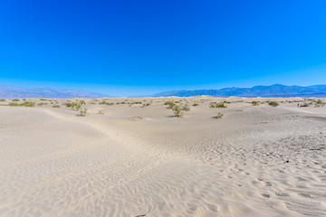 Mesquite sand dunes in desert of Death Valley, California, USA.