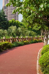 Pathway in a Lush Green Park