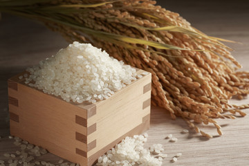 枡に入れた米と稲穂