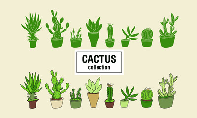 Cactus collection vector