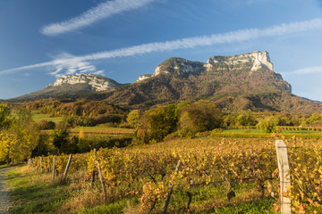 Mont Granier - Chartreuse - Isère.