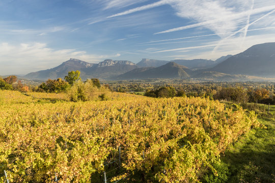 Combe de Savoie.