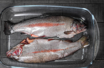 raw trout, fish in a glass  baking dish top view