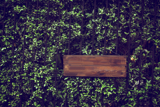 Empty wooden signage isolated in green nature tree bushes background