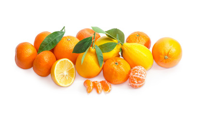 Freshly harvested different citrus on a white background