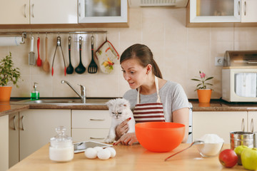 A young beautiful happy woman with a white Persian cat looking for a recipe of Christmas cakes in a tablet in the kitchen. Cooking home. Prepare food.