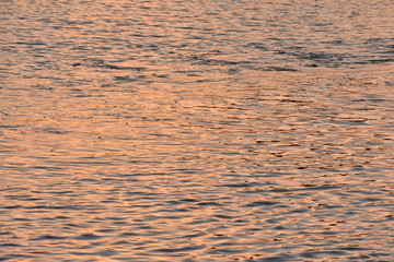 beautiful water scene in gadisar lake india