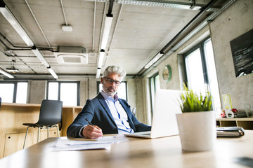 Fototapeta premium Mature businessman with laptop in the office.