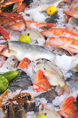 Freshly caught crab and fish in ice, fish market, Essaouira, Morocco