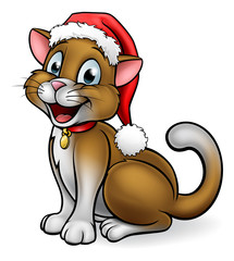 Christmas Santa Hat Cat
