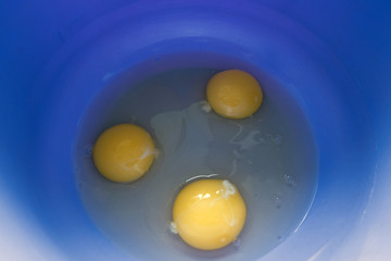 raw chicken eggs
