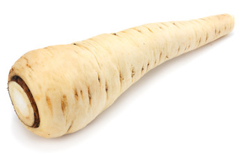 Parsnip isolated on the white background close up