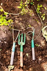 Composition of garden tools in the garden.