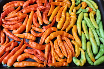 The multitude of chilli peppers, closeup view.Capsicum Baccatum Aji Ahuachapau Cap 220