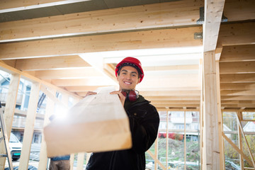 Portrait Of Carpenter Carrying Wood On Shoulder At Site