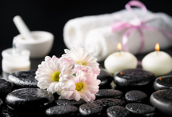Fototapeta na wymiar spa background of daisy flowers, candles, cosmetic cream, white towels and zen basalt stones with water drops on black