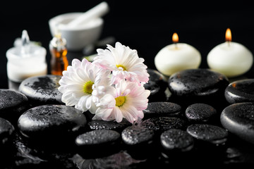 spa concept of white daisy flowers, candles, fragrance oil and zen basalt stones with water drops on black background