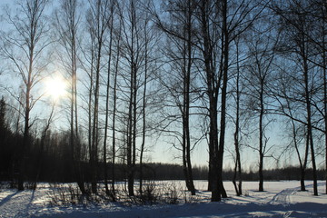  in winter
