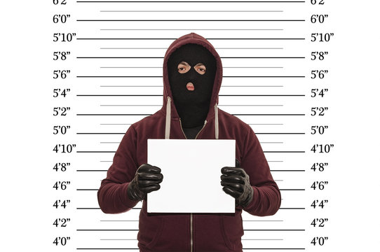 Police lineup or mugshot concept with a burglar or thief wearing a ski mask or balaclava and holding a blank white cardboard with copy space against a size chart in imperial units with clipping path