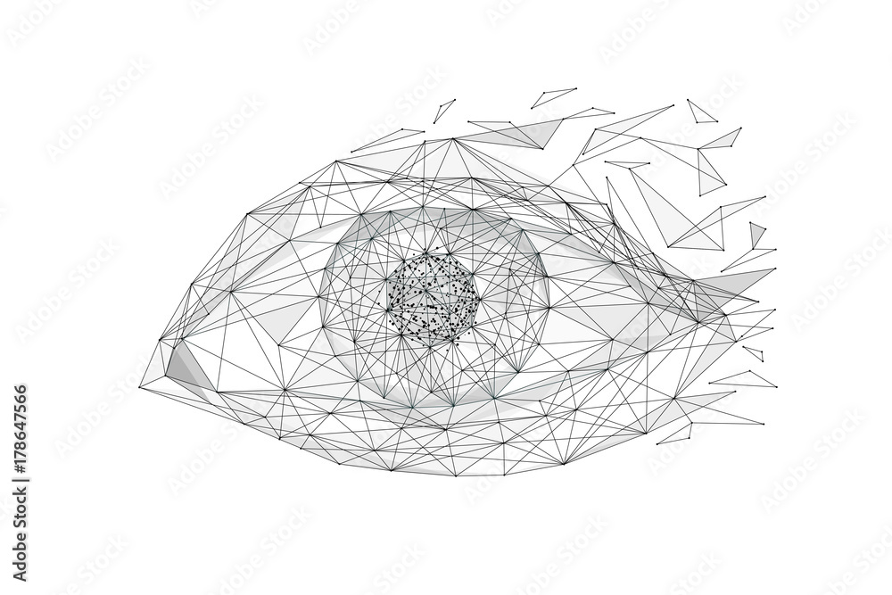Aufkleber Eye low poly wireframe isolated black on white background. Abstract mash line and point origami. Vector polygon illustration. Technoligy eyes with geometry triangle. Light connection digital structure