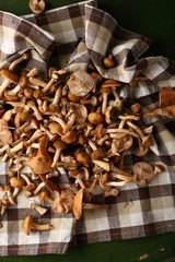 Wild mushrooms