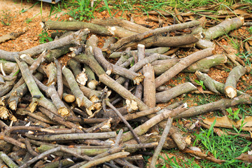Fototapeta premium Pile of firewood, preparation of firewood for the winter and use for cooking