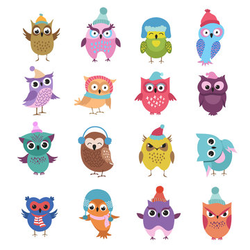 Funny winter owls birds cartoon vector characters