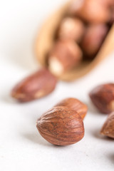 Raw hazelnuts on the white background with wooden spatula spoon