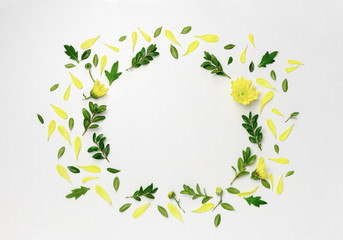 Floral botanical background with a space for a text