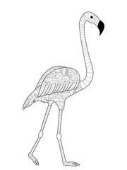 Naklejka premium Flamingos coloring raster for adults