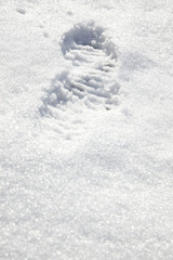 winter garden and cartracks in the parking lot