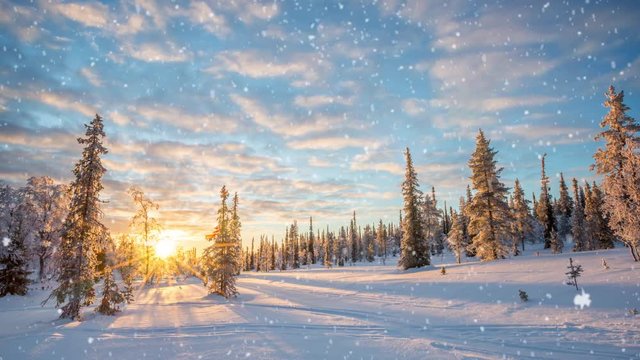 Seamless loop - Snow falling on a winter landscape at sunset, Saariselka, Lapland, Finland, video HD