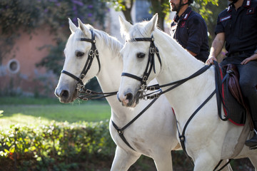 Carabinieri a caballo © Ricardo Ferrando
