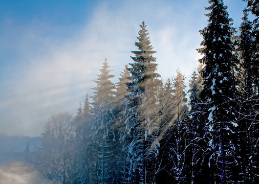 Beautiful winter landscape. Solar beams making the way through a fog. Carpathian mountains, Ukraine.