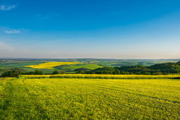 Obraz premium Fields in Moravian Tuscany at Sunset, South Moravian, Europe, Czech Republic