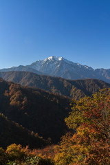 秋の樹海ラインからみた風景