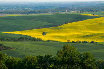 Fields in Moravian Tuscany at Sunset, South Moravian, Europe, Czech Republic