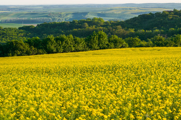 Fields in Moravian Tuscany at Sunset, South Moravian, Europe, Czech Republic
