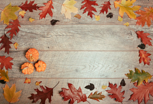Autumn arrangement of colorful leaves, pumpkin, acorn, chestnut fruit on a wooden background with free space for text. Top view, season concept, toned retro effect, flat lay