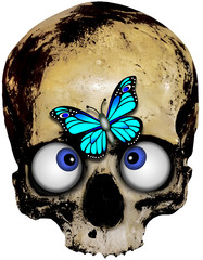 cross-eyed skull with blue butterfly
