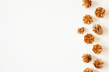 Golden pine cones on white backdrop